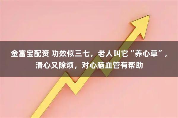 金富宝配资 功效似三七，老人叫它“养心草”，清心又除烦，对心脑血管有帮助