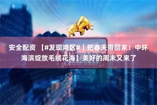 安全配资 【#发现湾区#｜把春天带回家！中环海滨绽放毛绒花海】美好的周末又来了