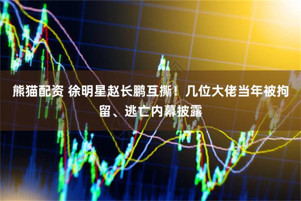 熊猫配资 徐明星赵长鹏互撕！几位大佬当年被拘留、逃亡内幕披露