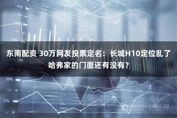 东南配资 30万网友投票定名：长城H10定位乱了哈弗家的门面还有没有？