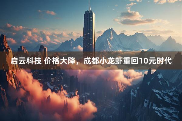 启云科技 价格大降，成都小龙虾重回10元时代