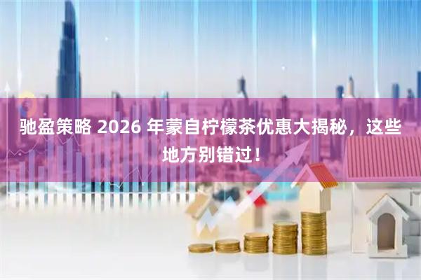 驰盈策略 2026 年蒙自柠檬茶优惠大揭秘，这些地方别错过！