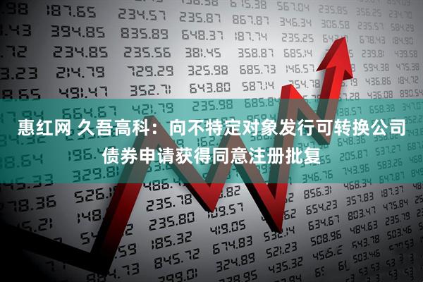 惠红网 久吾高科：向不特定对象发行可转换公司债券申请获得同意注册批复
