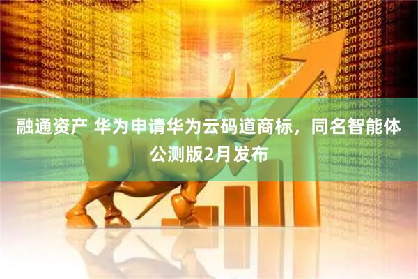 融通资产 华为申请华为云码道商标，同名智能体公测版2月发布