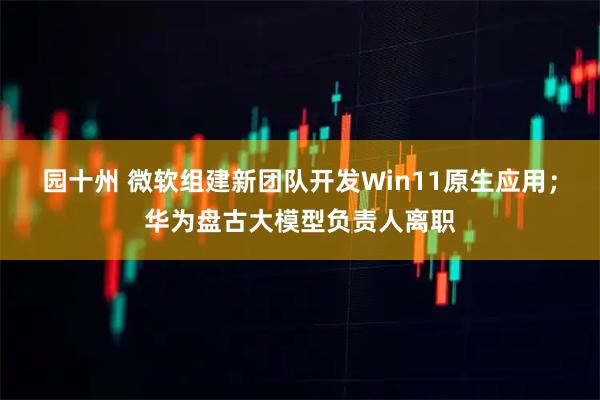 园十州 微软组建新团队开发Win11原生应用；华为盘古大模型负责人离职