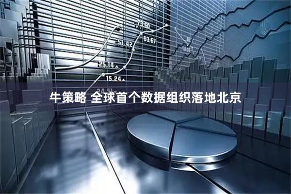 牛策略 全球首个数据组织落地北京