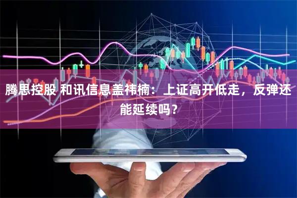 腾思控股 和讯信息盖祎楠：上证高开低走，反弹还能延续吗？
