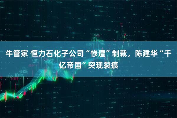 牛管家 恒力石化子公司“惨遭”制裁，陈建华“千亿帝国”突现裂痕