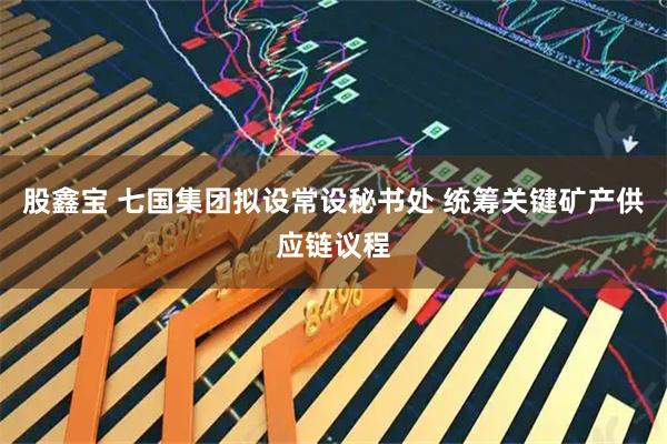 股鑫宝 七国集团拟设常设秘书处 统筹关键矿产供应链议程