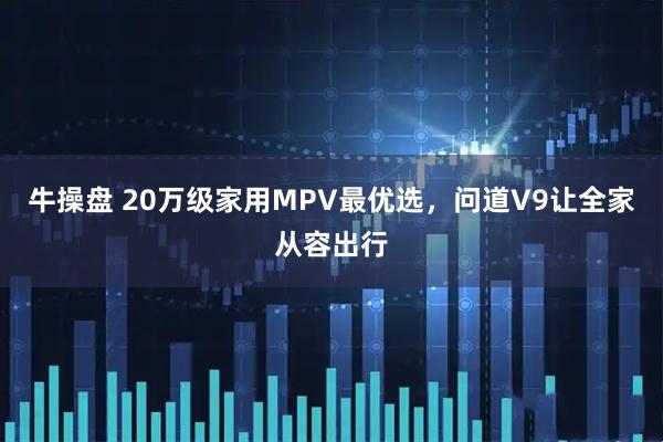 牛操盘 20万级家用MPV最优选,问道V9让全家从容出行