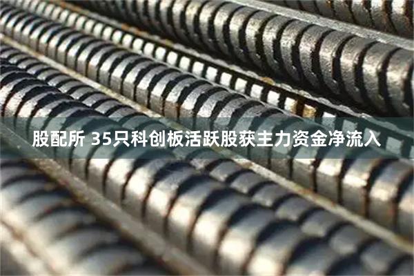 股配所 35只科创板活跃股获主力资金净流入
