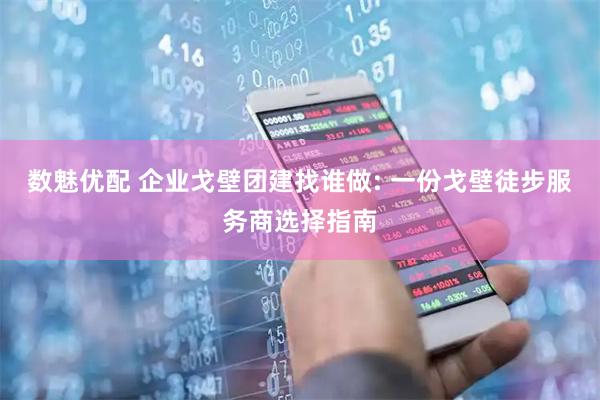 数魅优配 企业戈壁团建找谁做: 一份戈壁徒步服务商选择指南